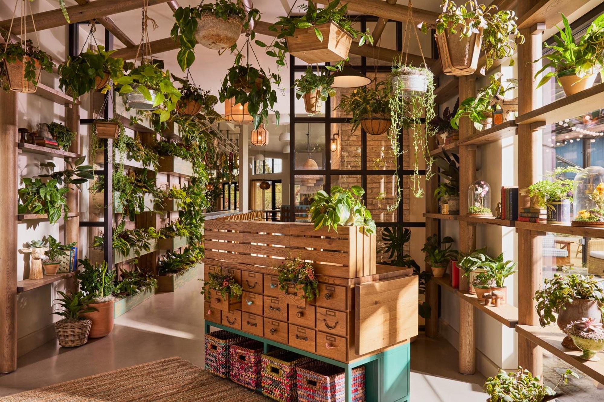 Treehouse Hotel Silicon Valley サニーベール エクステリア 写真