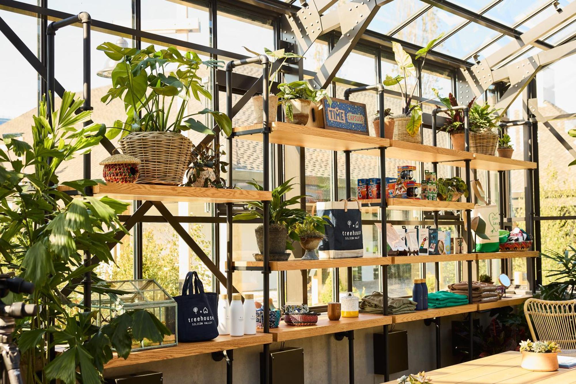 Treehouse Hotel Silicon Valley サニーベール エクステリア 写真